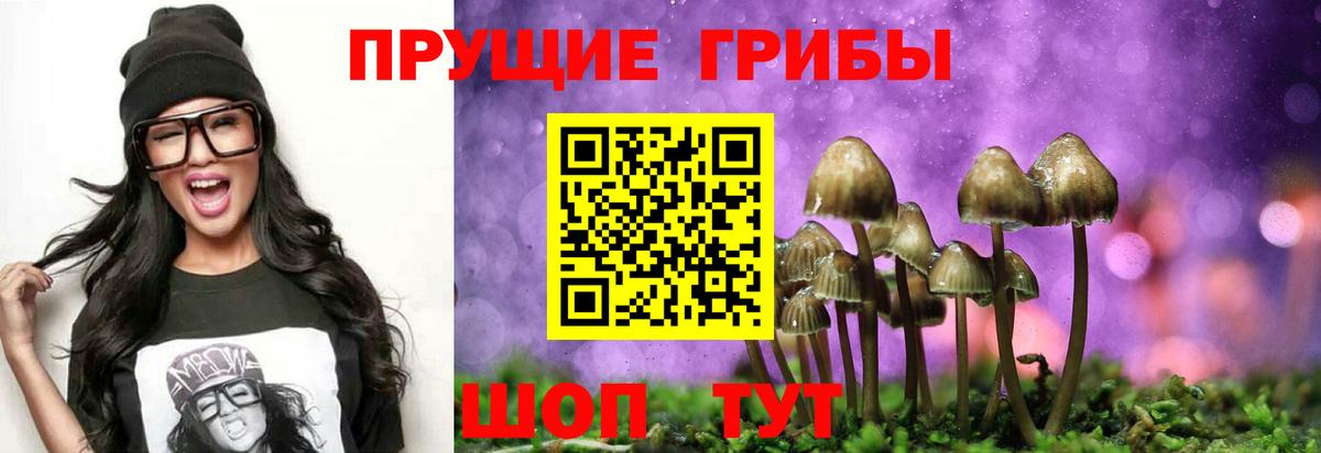 Псилоцибиновые грибы MAGIC MUSHROOMS Барабинск